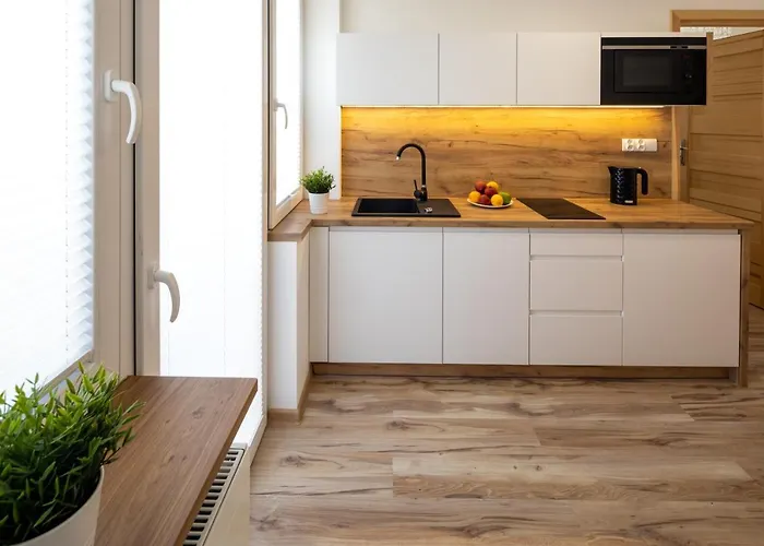 Lägenhet Granit Centrum Zakopane